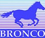 Bronco