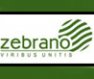 Zebrano