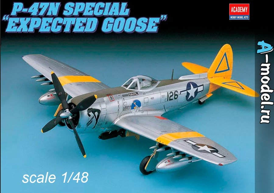 N expected. 12281 Авиация p-47n ". Сборная модель Авиация p-47n "expected Goose". P-47 1/48. N47.